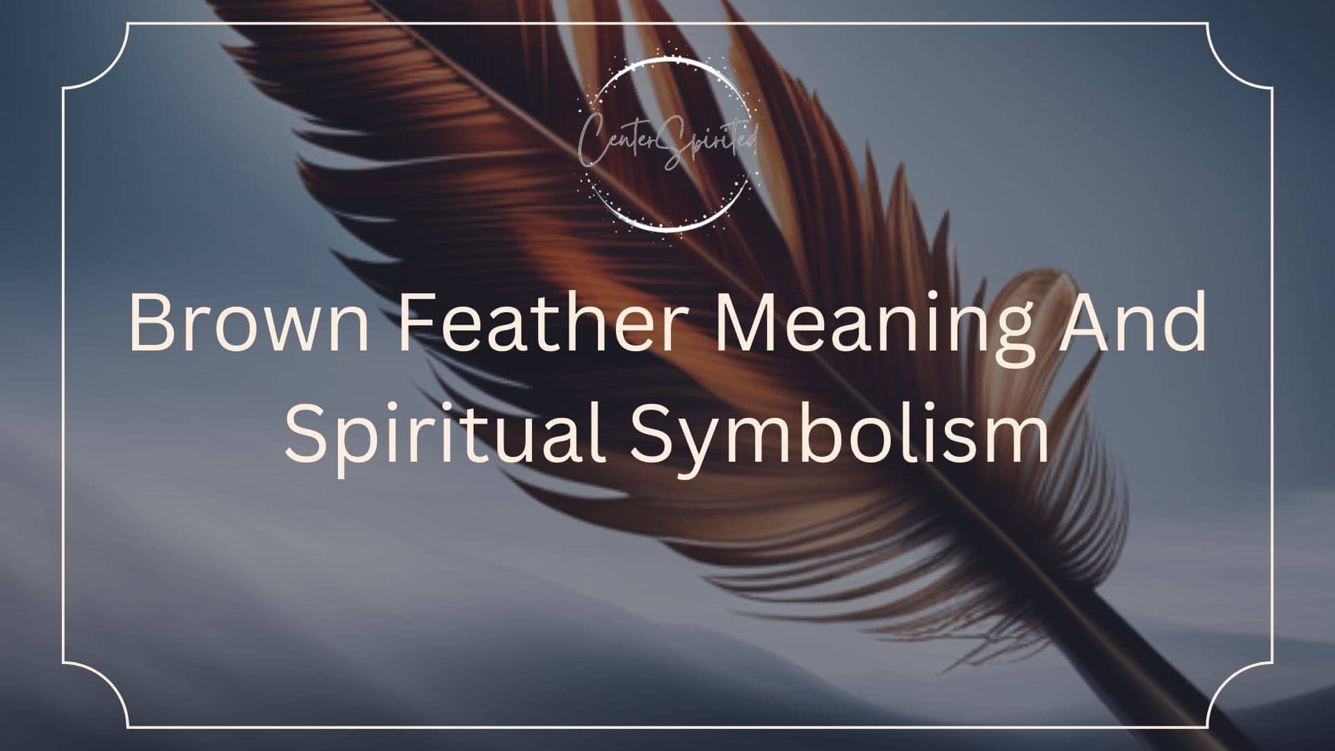 Brown Feather Meaning featured