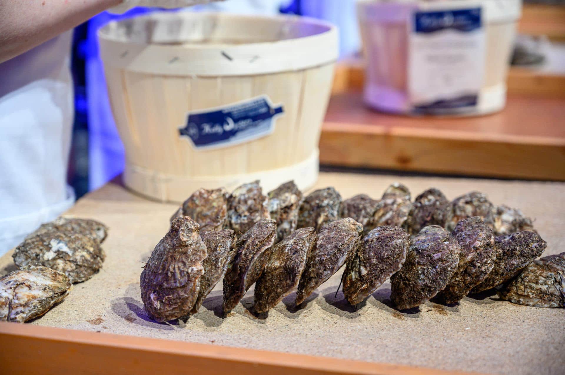 Galway-Oyster-Festival-2019-Declan-Colohan-Friday-29