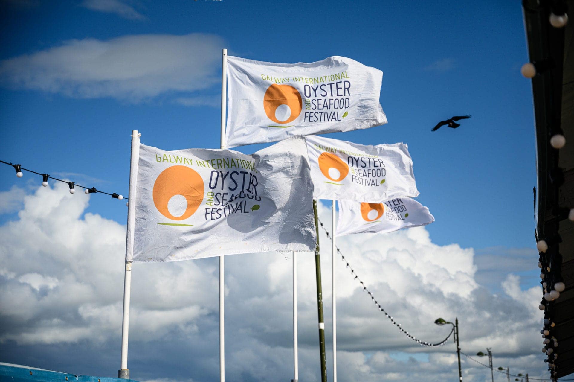 Oyster-Festival-Uploads-First-round-Sunday-68
