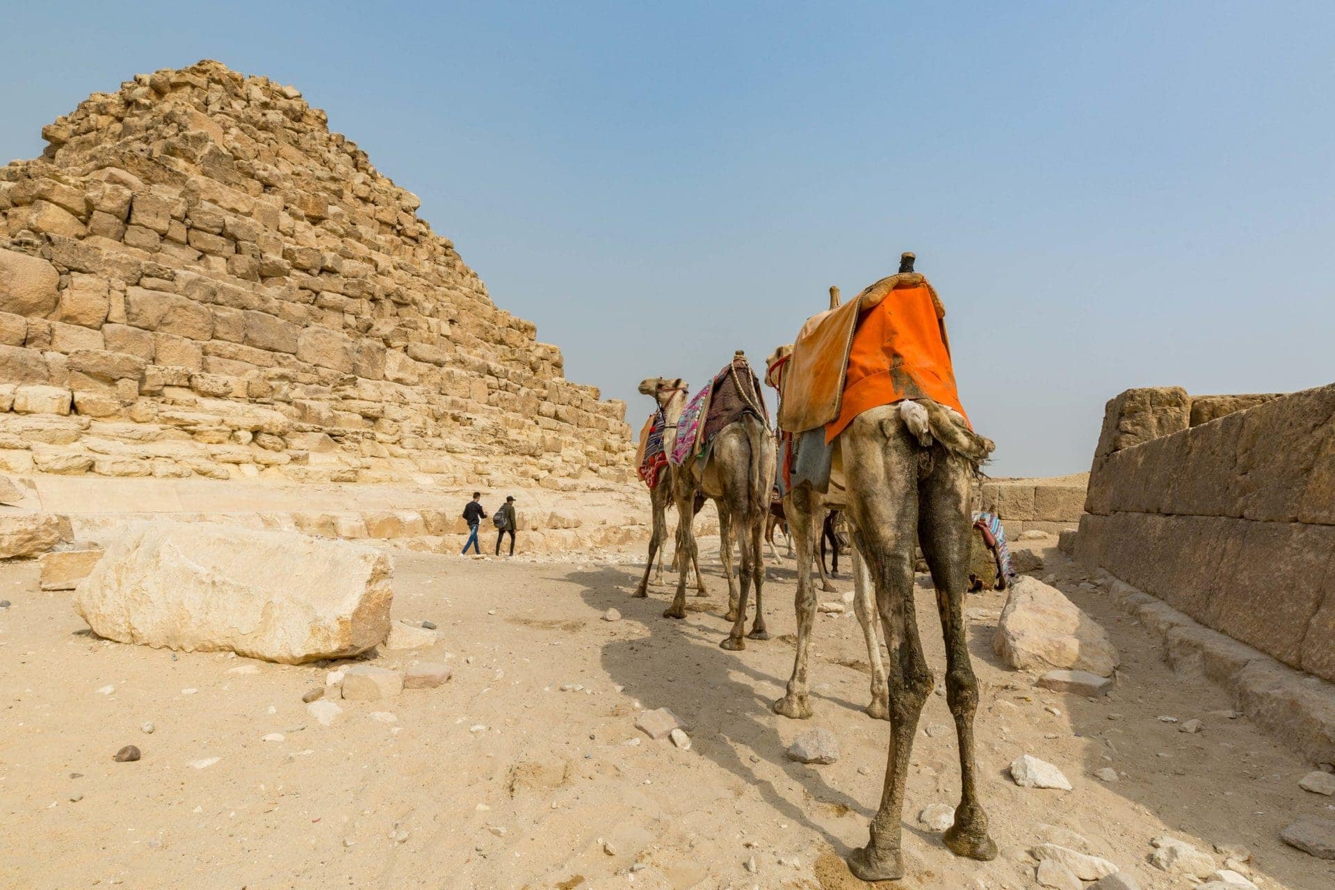 2019 Egypt-160