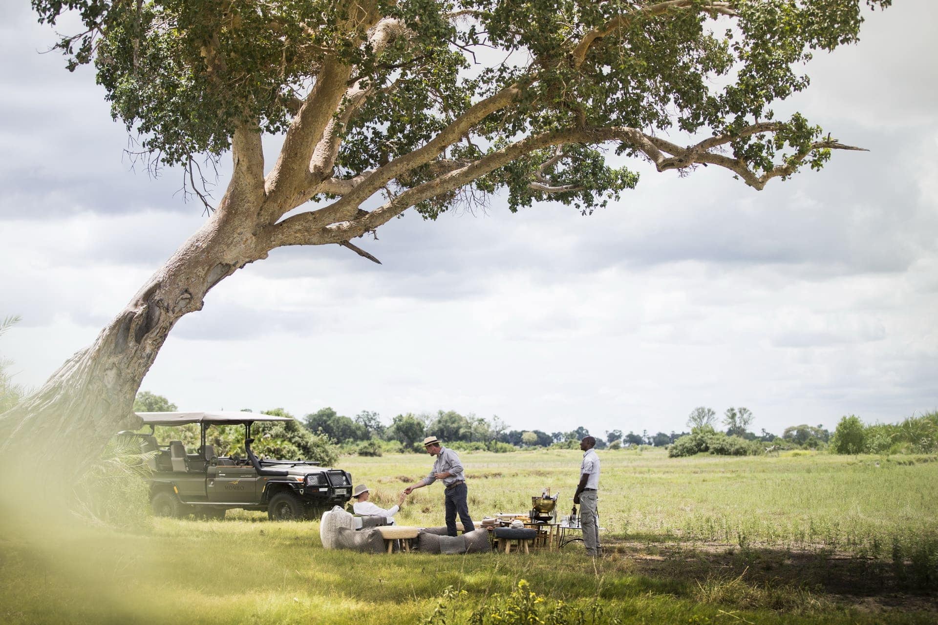 A brunch stop under a beautiful tree, Mombo, Botswana