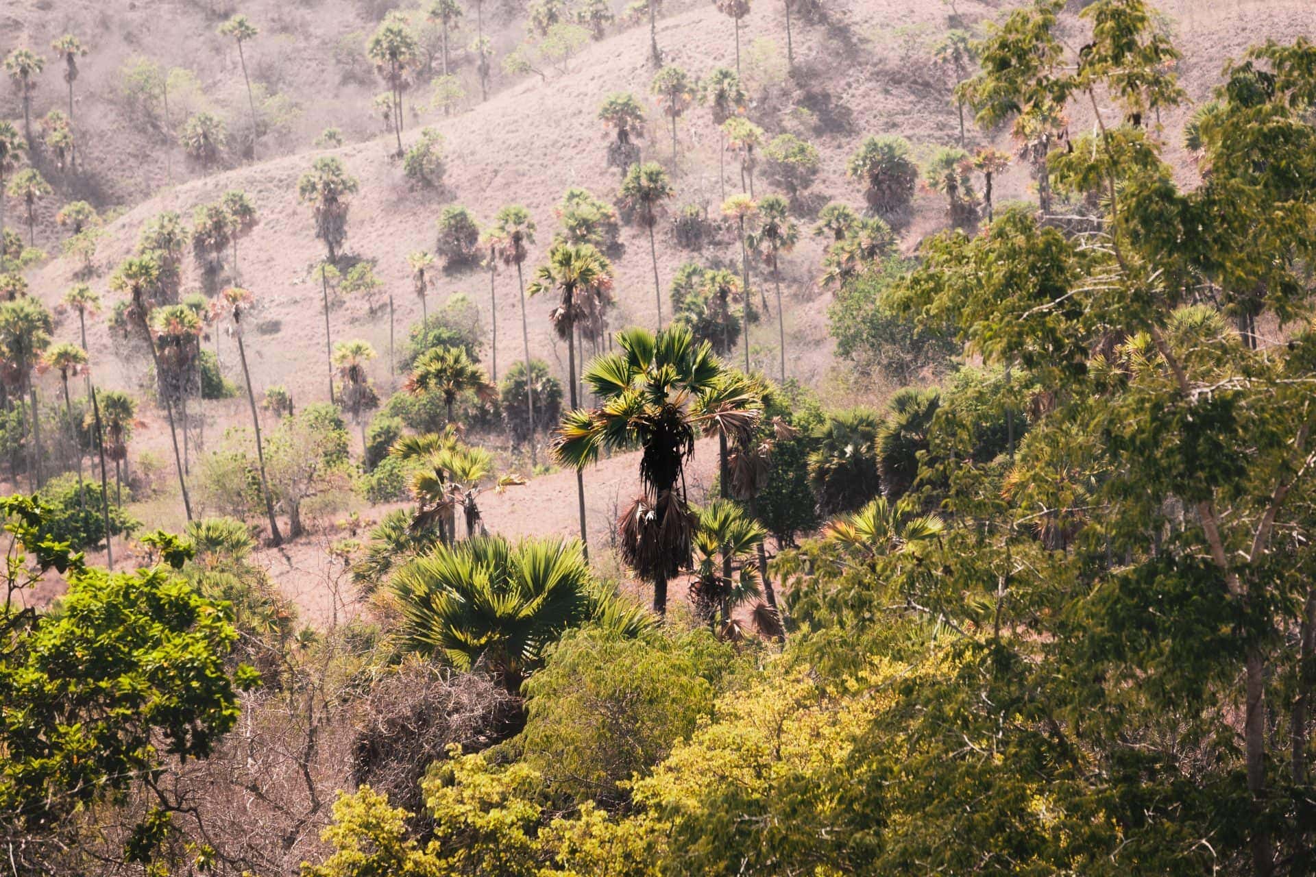 Komodo National Park To Bali (VV.)_06