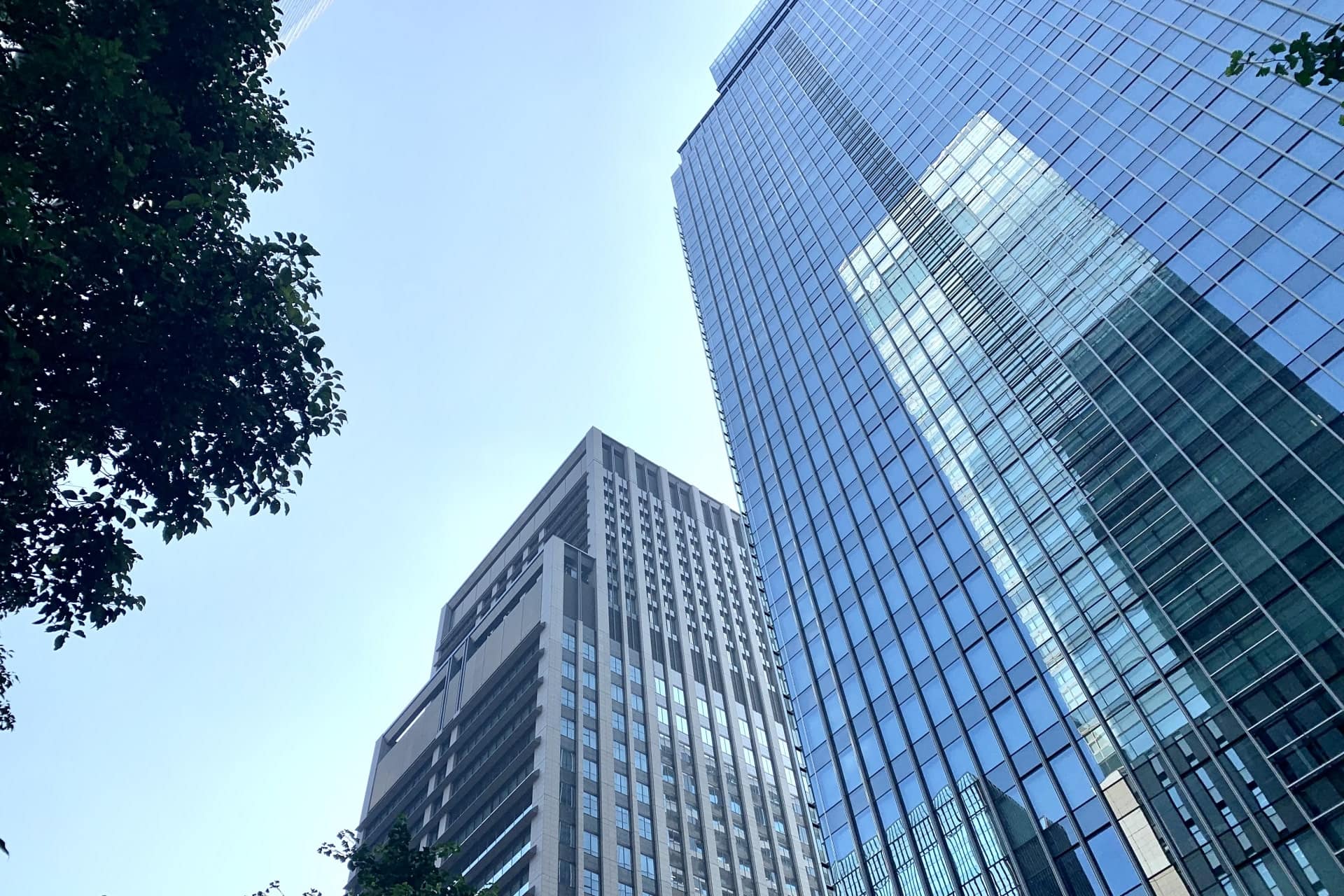 文系大学生が専門性以外の汎用スキルを活かせる就職先の例