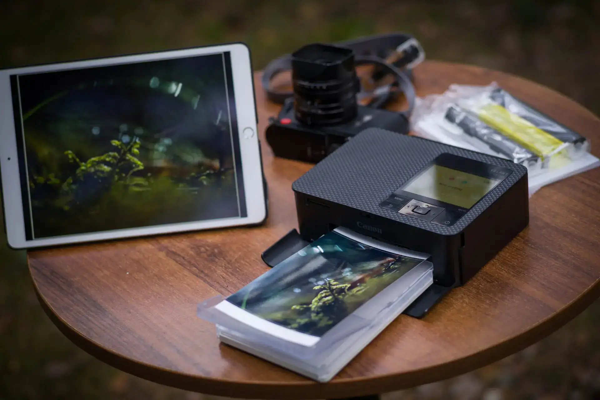 Canon shelphy cp1500