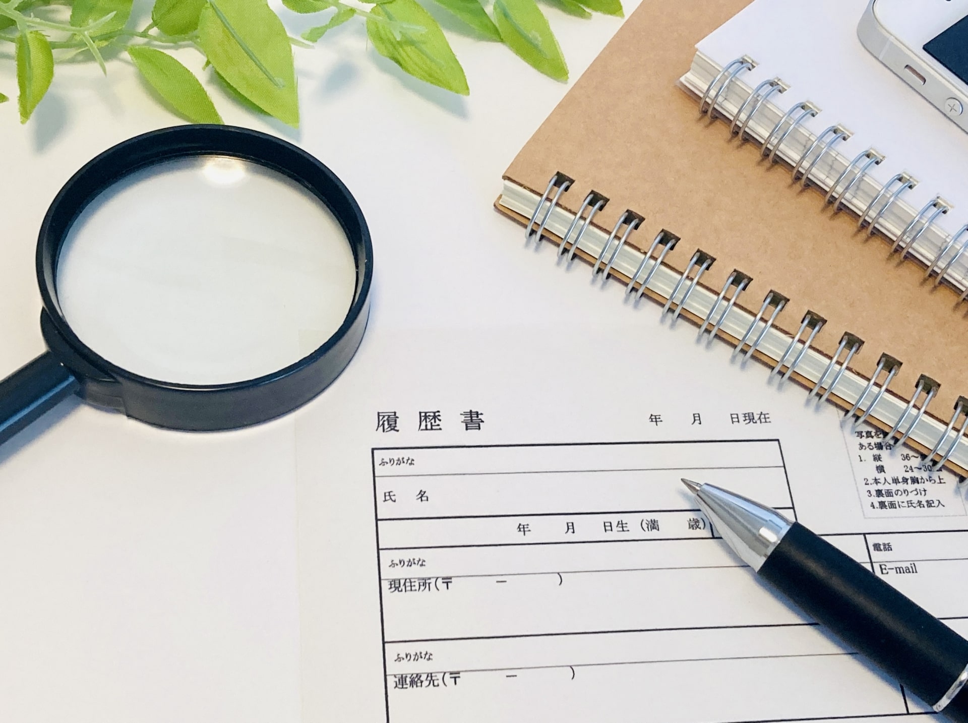 新卒がベンチャー企業に入社するためのポイント