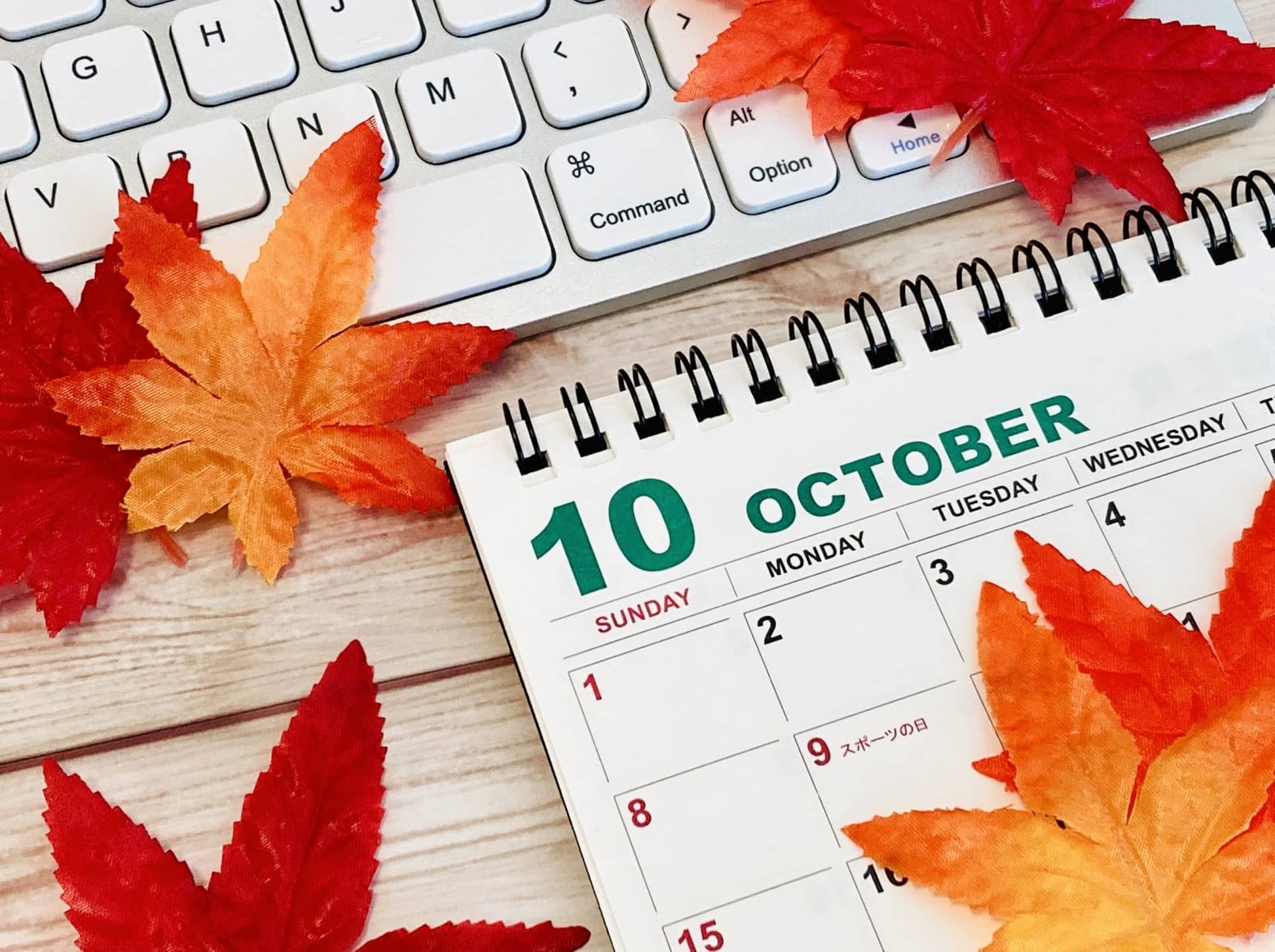 大学4年10月から就活は可能？まだ何もしてない人が狙い目の企業も解説