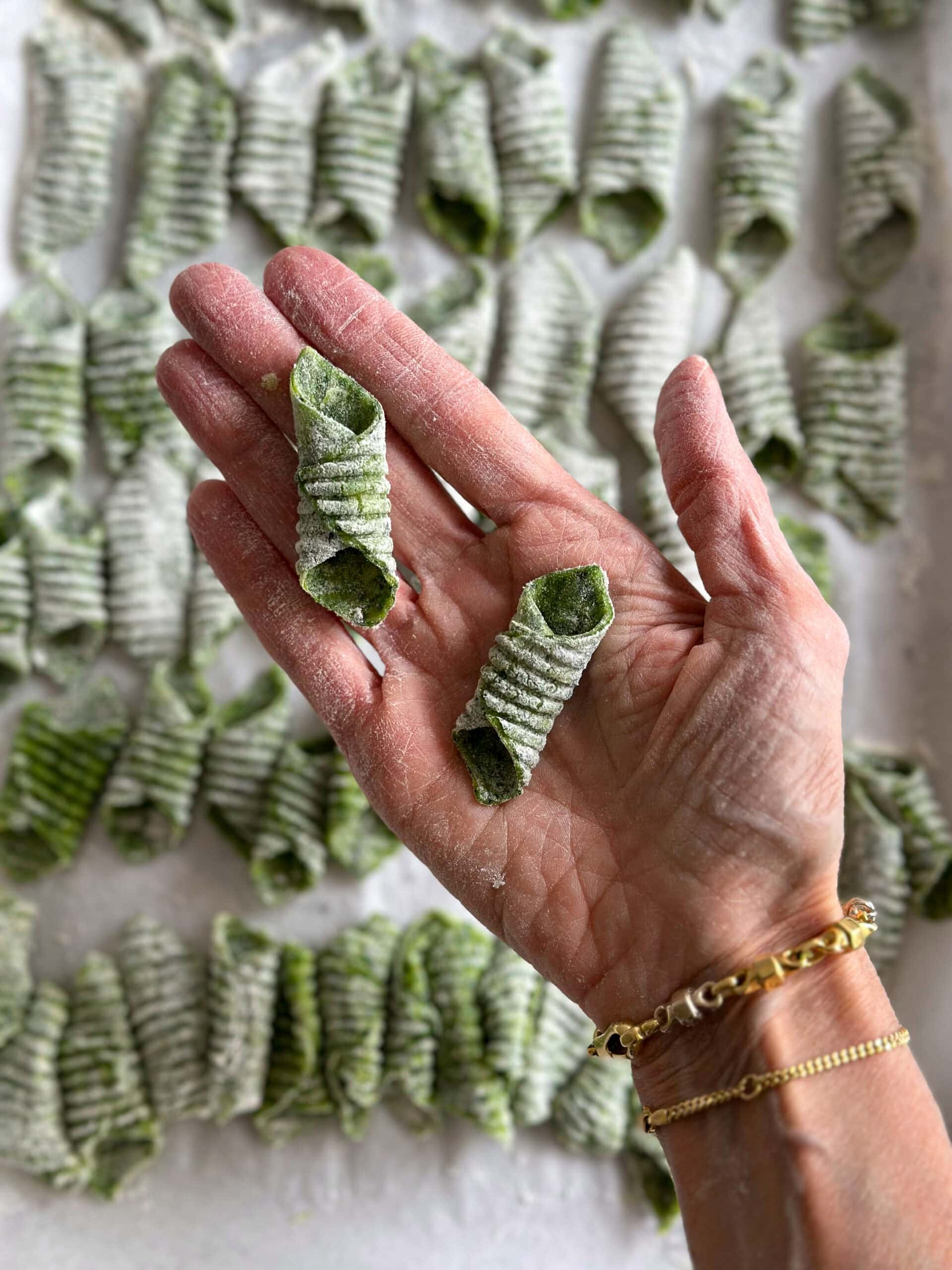 Fresh green homemade Garganelli