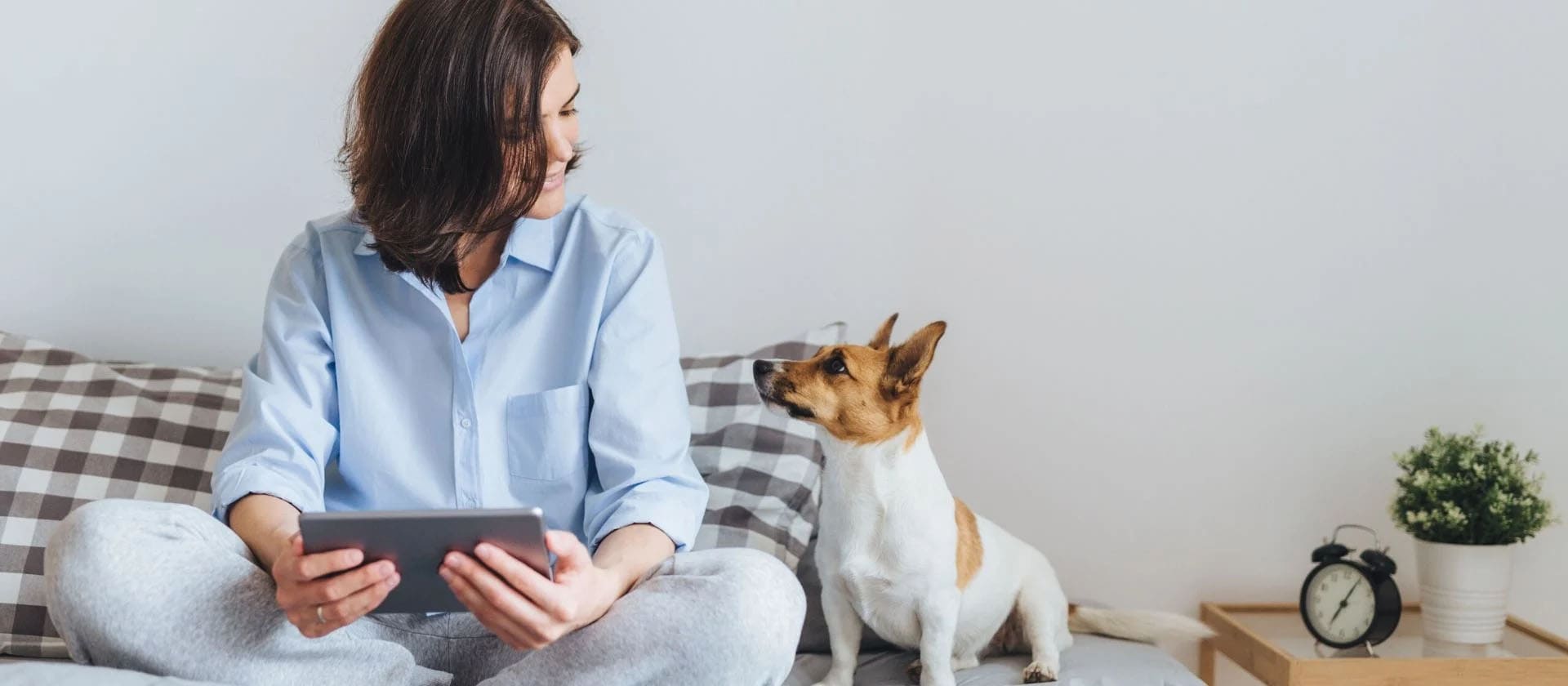 Sostenibilidad en el cuidado de tu perro y en el hogar