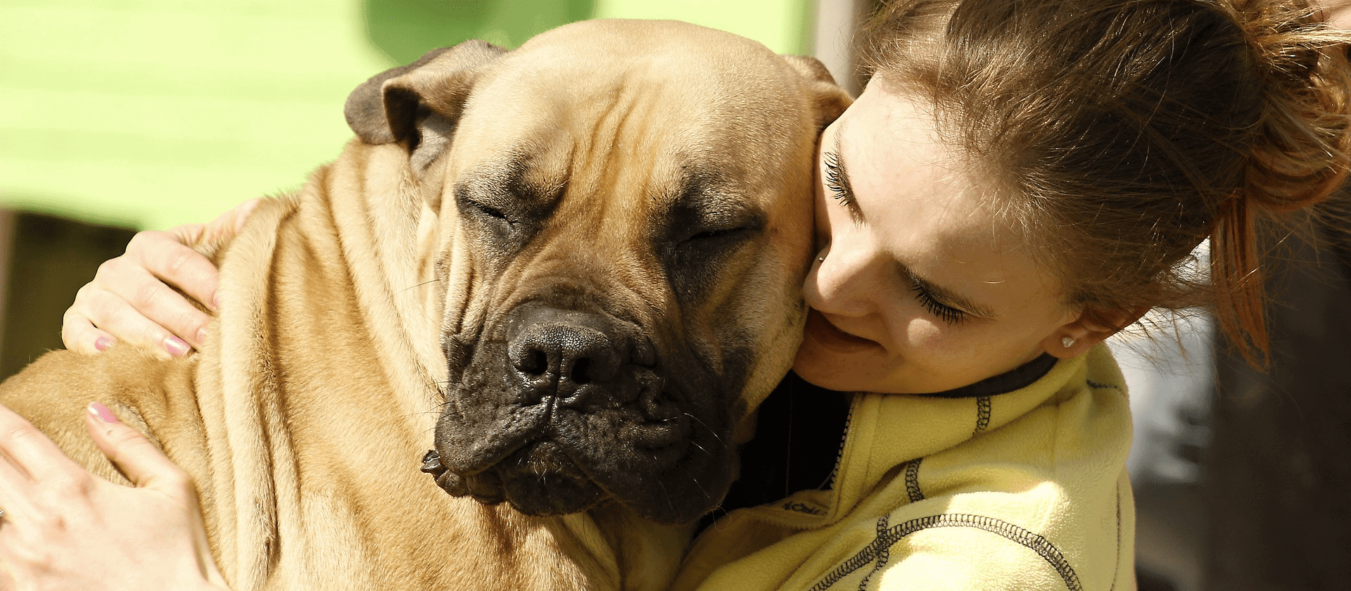 una raza de perro grande