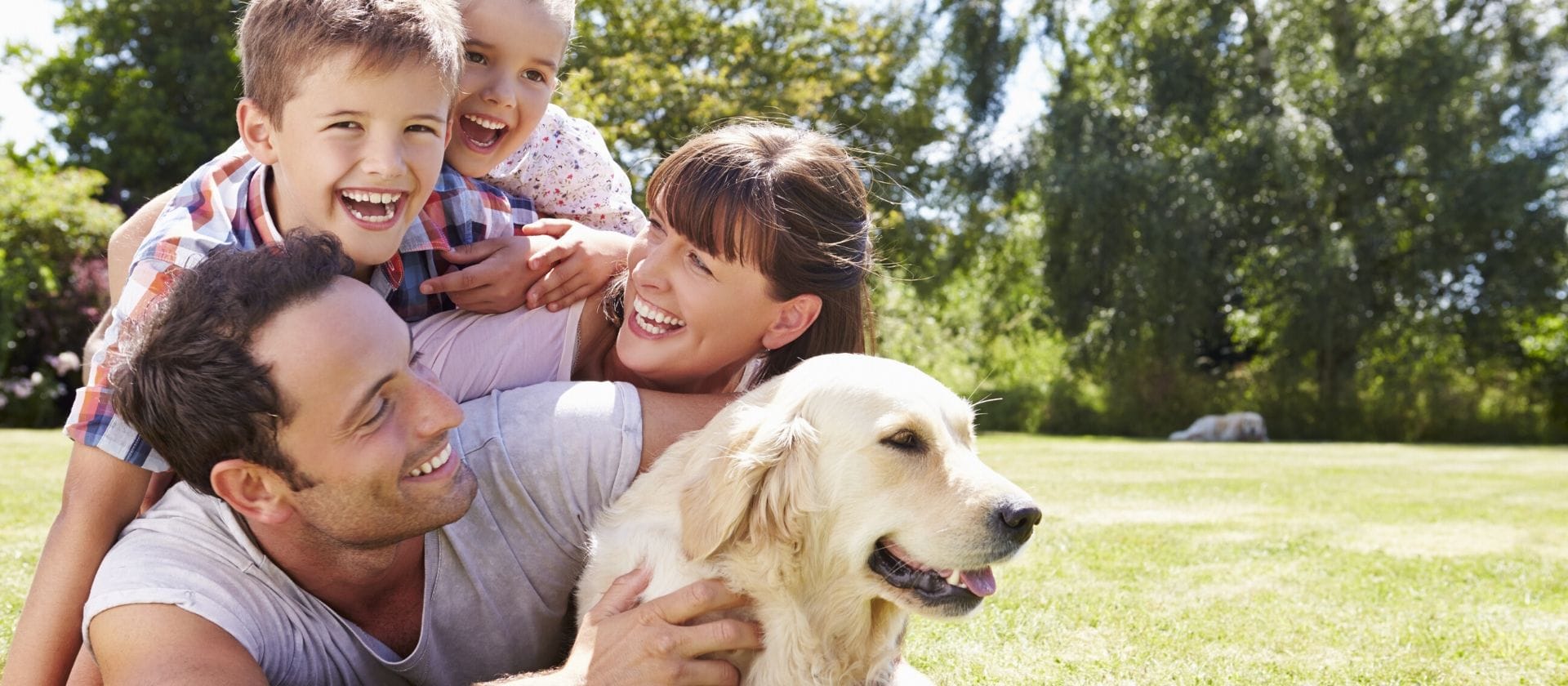 Insuficiencia renal en perros