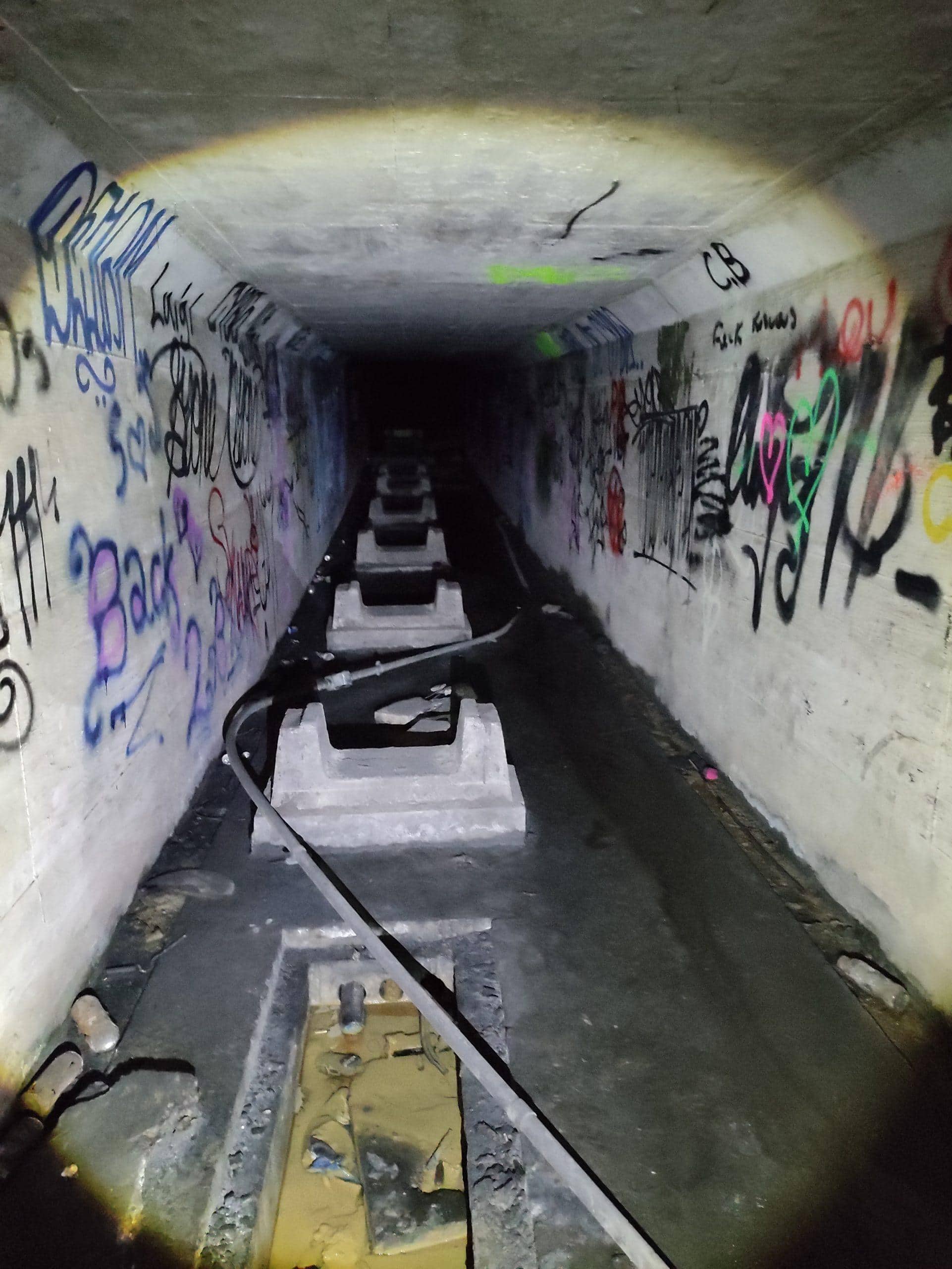 Farleigh Down Tunnel