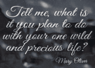 Live fearlessly!