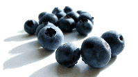 blueberries