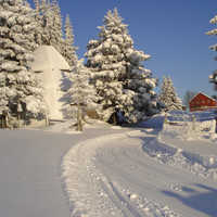 Cross-country Skiing: Kamben