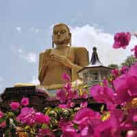 Sri Lankan Highlights