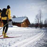 Cross-Country Skiing in Lapland
