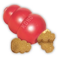 Kong treat dispensing toy