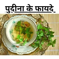 Pudina ke fayde