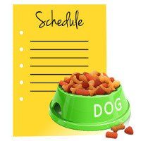 Green dog bowl of food beside a yellow blank schedule