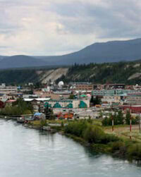 Whitehorse_Picture