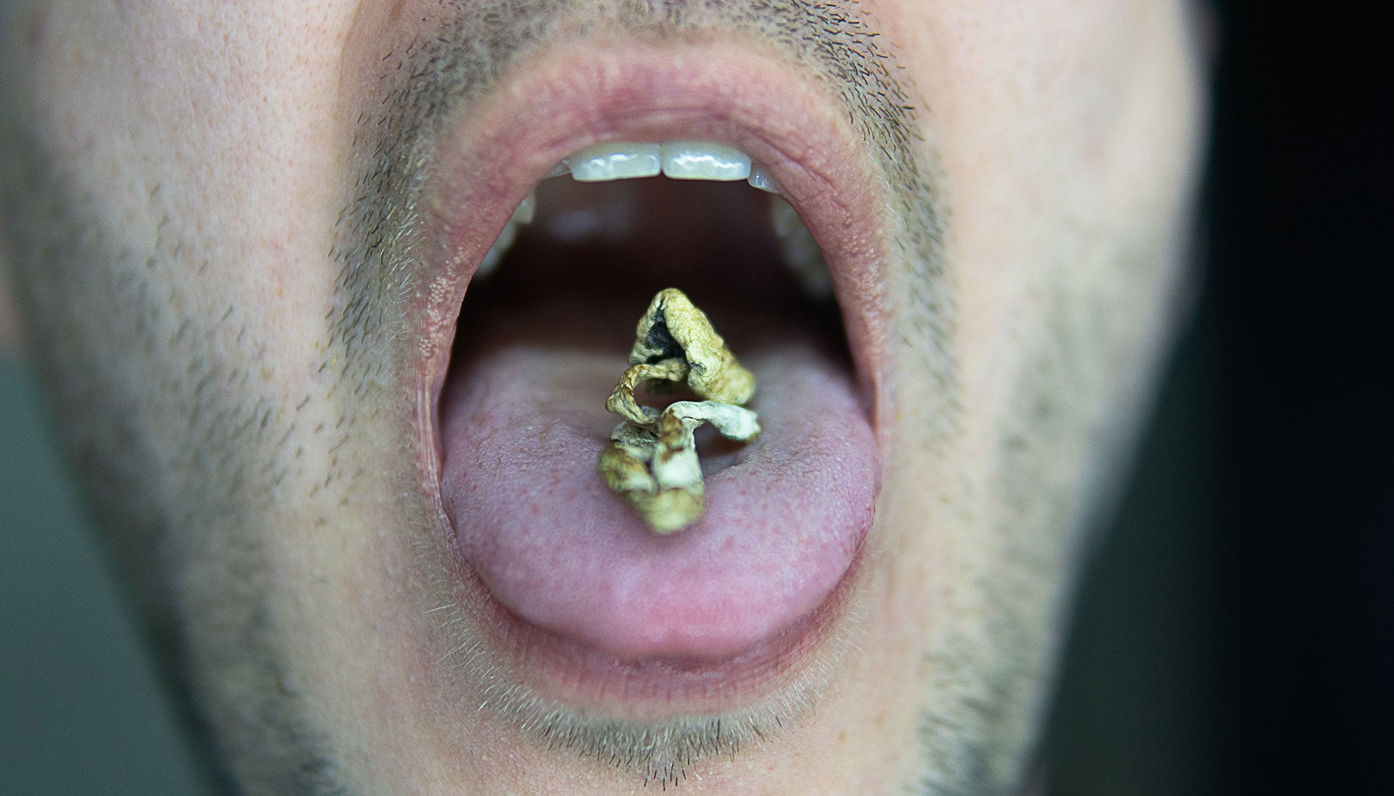 shroommouth