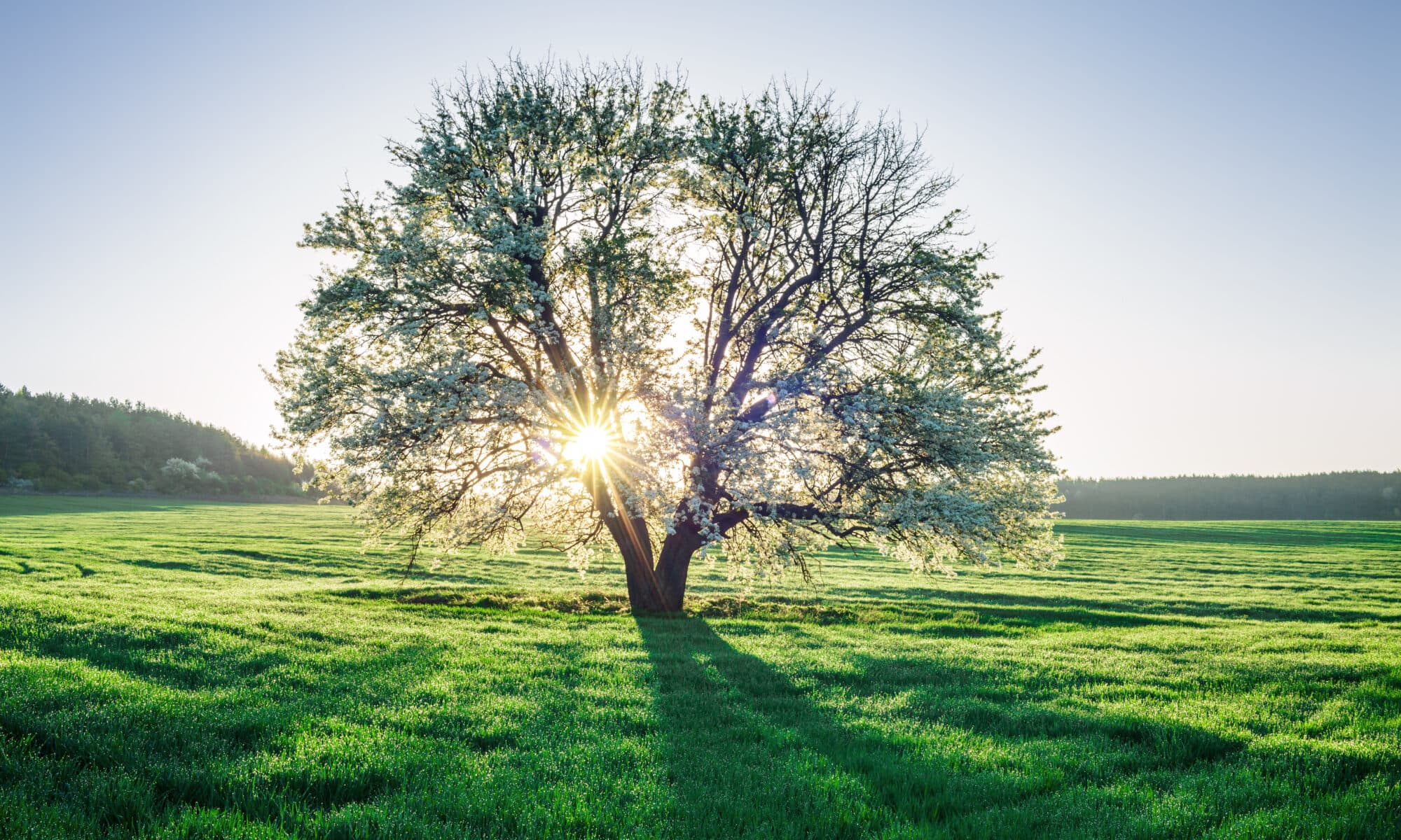 Nelly Poix a propos de moi