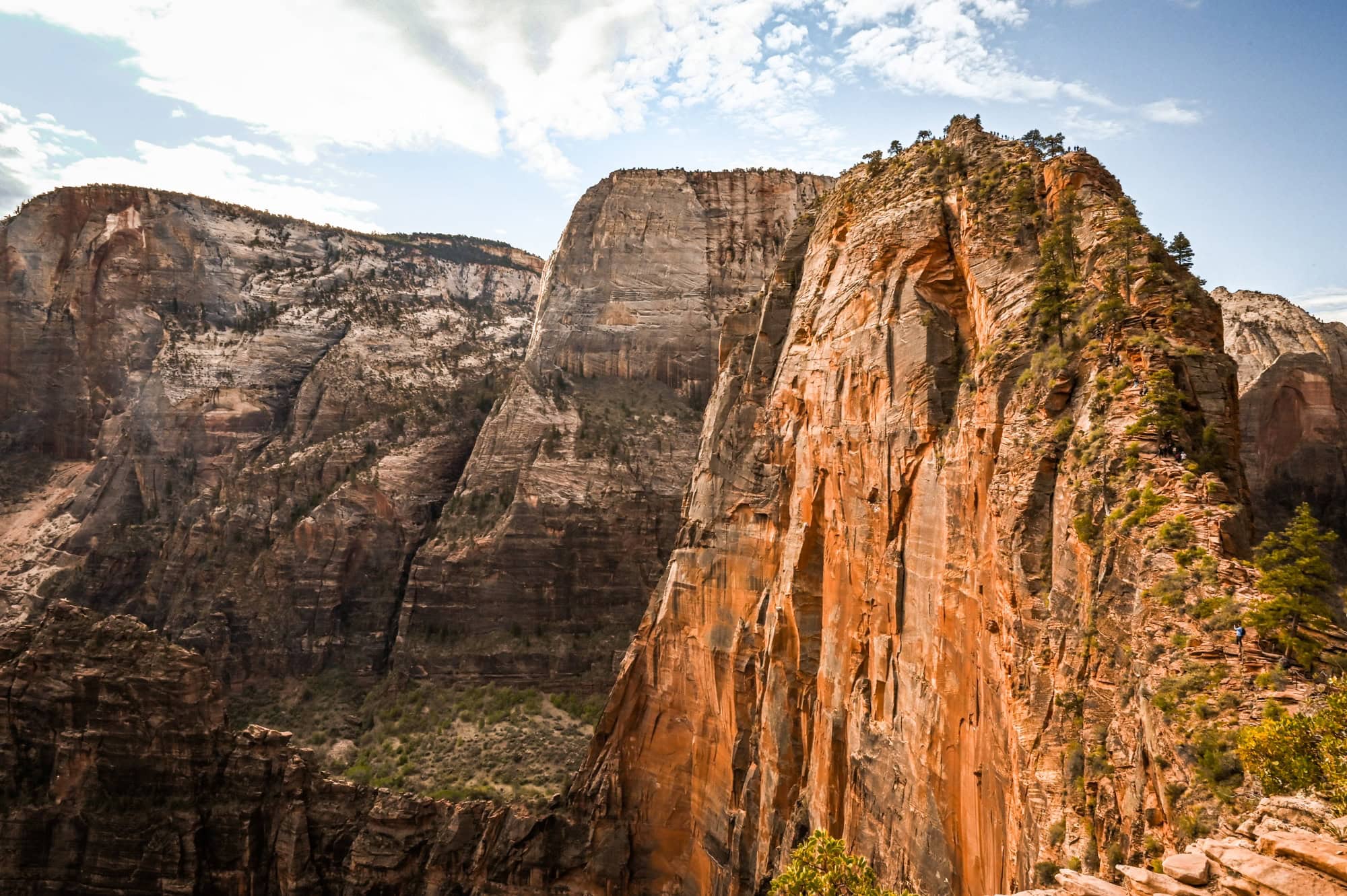 view of Angel's Landing from Scout Lookout in Zion National Park