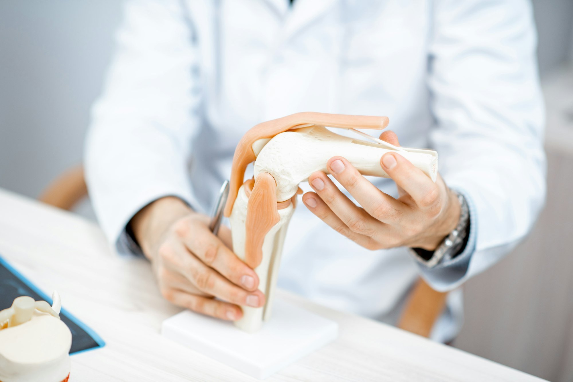 Therapist showing knee joint model