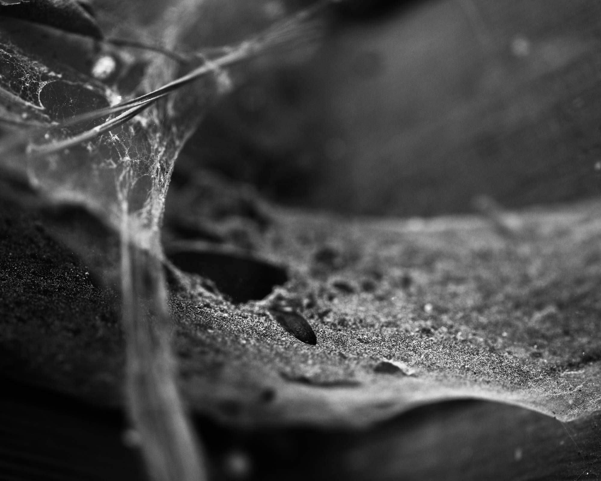 Hasselblad XCD Macro 120 mm