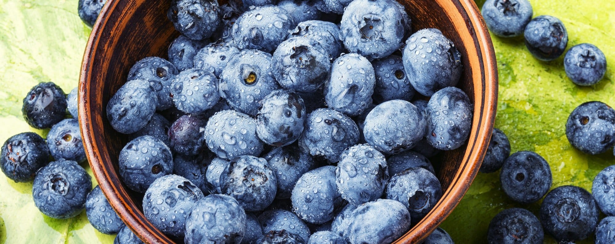 Berries blueberries or bilberry