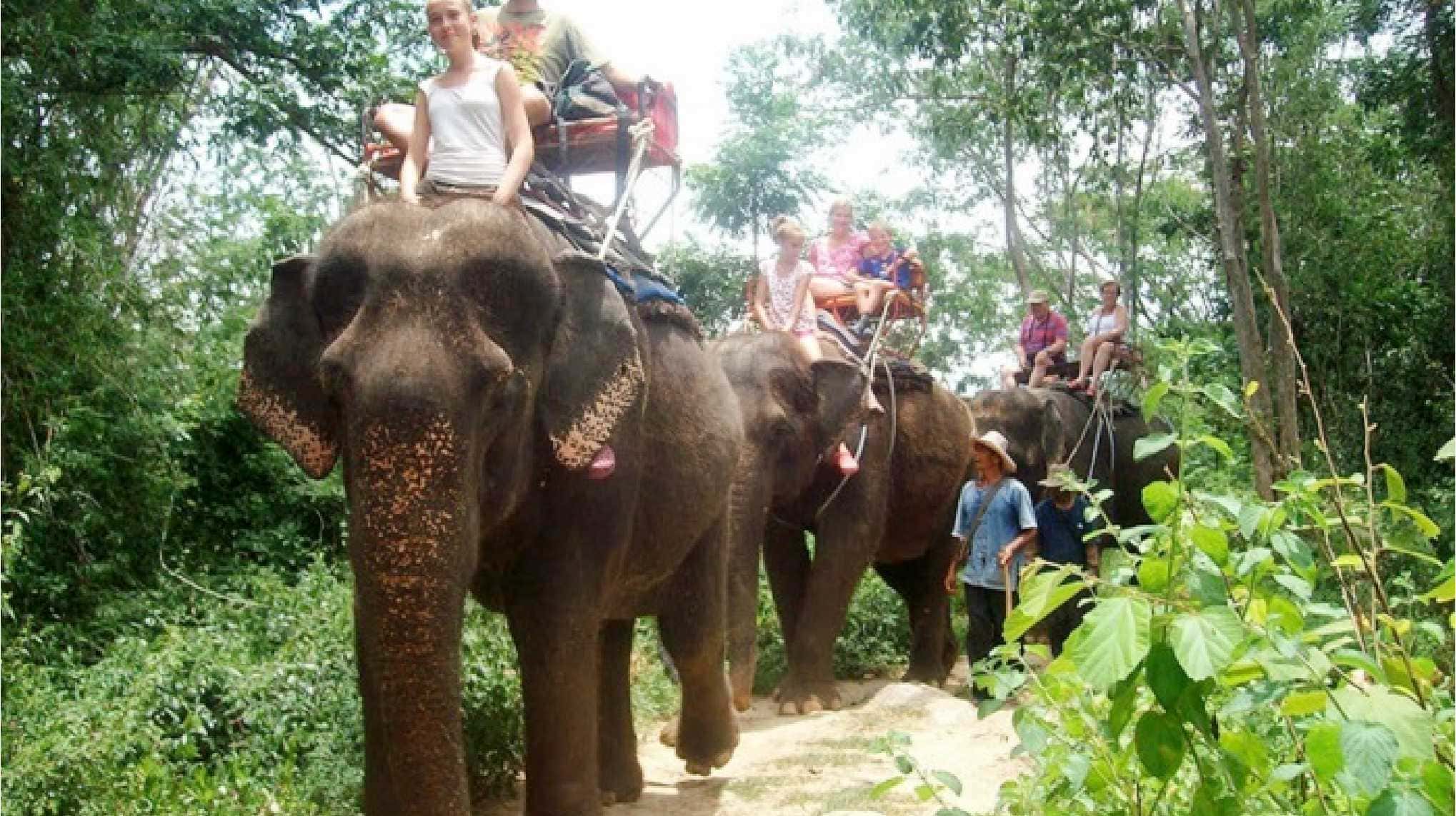 Pattaya Elephant Village