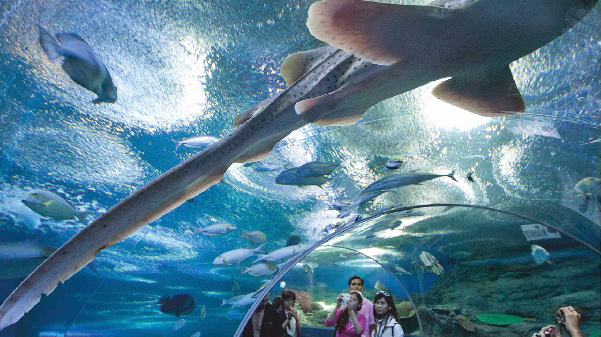 Top Tourist Attractions of Pattaya