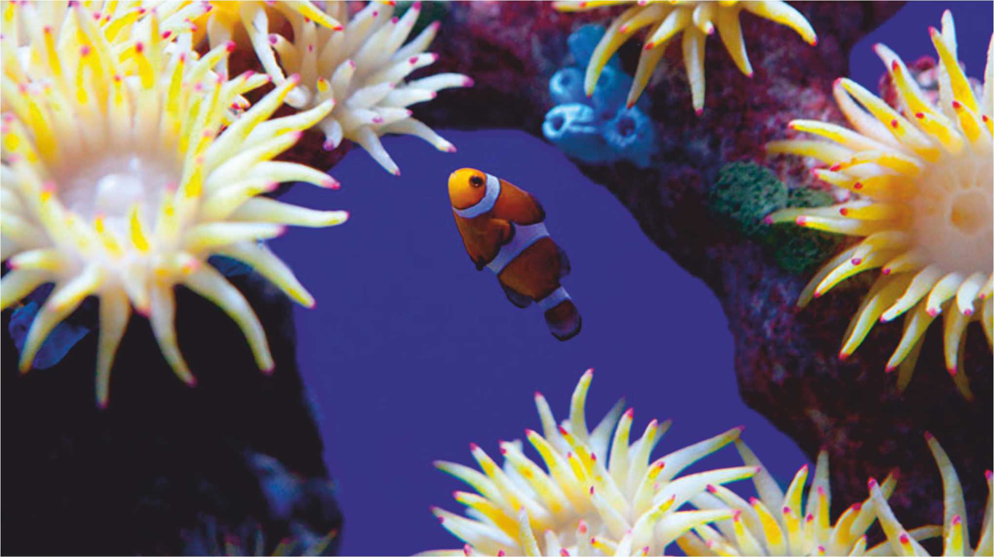 Underwater World Pattaya