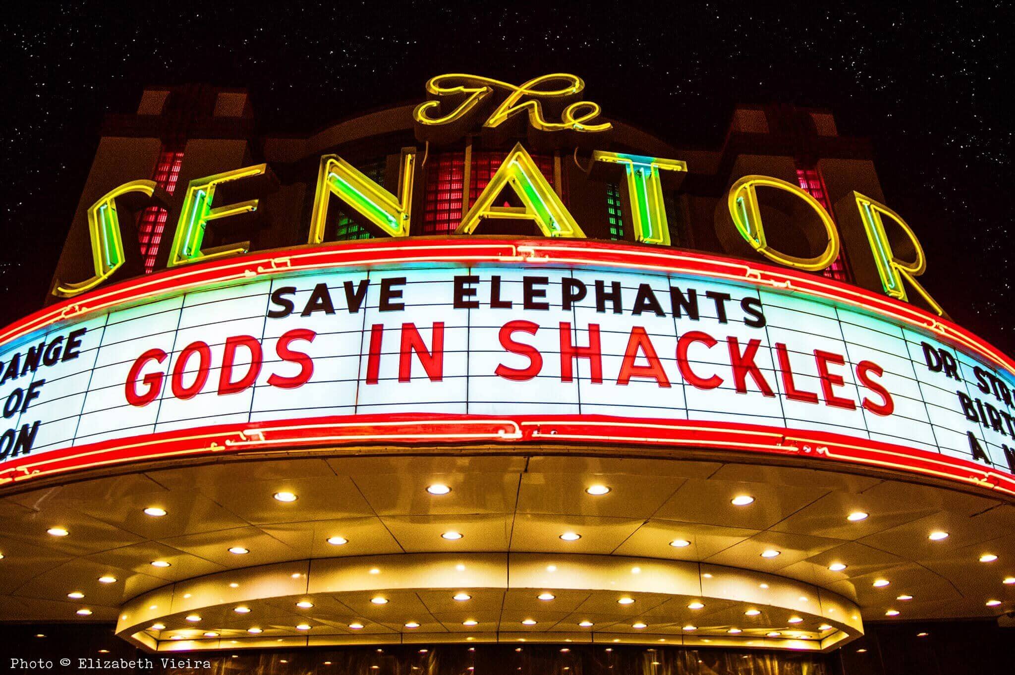 Watch Gods in Shackles