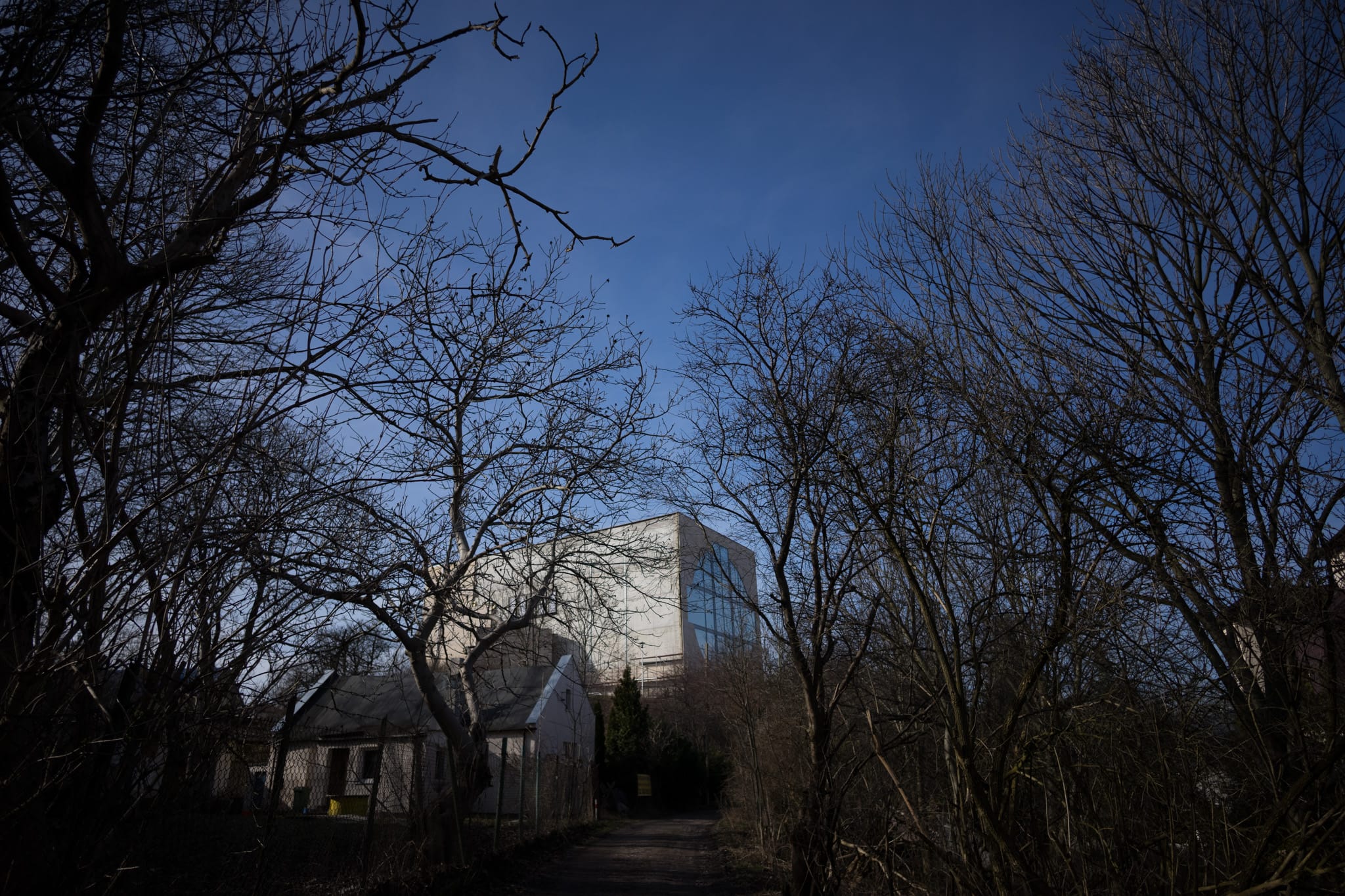 Voigtlander 21mm f/3.5 Color Skopar