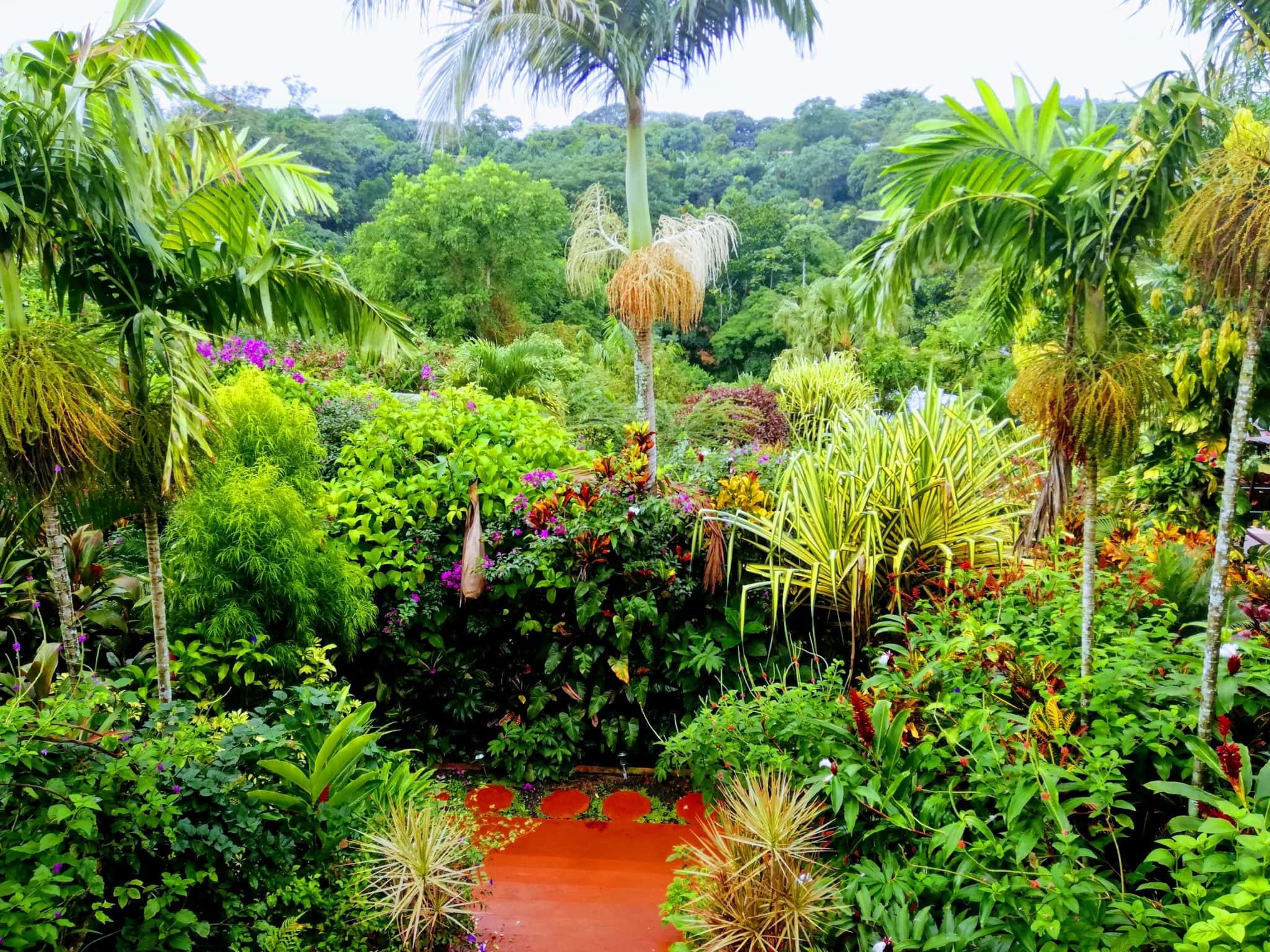 3 Wonderful Nights in Atenas, Costa Rica 2