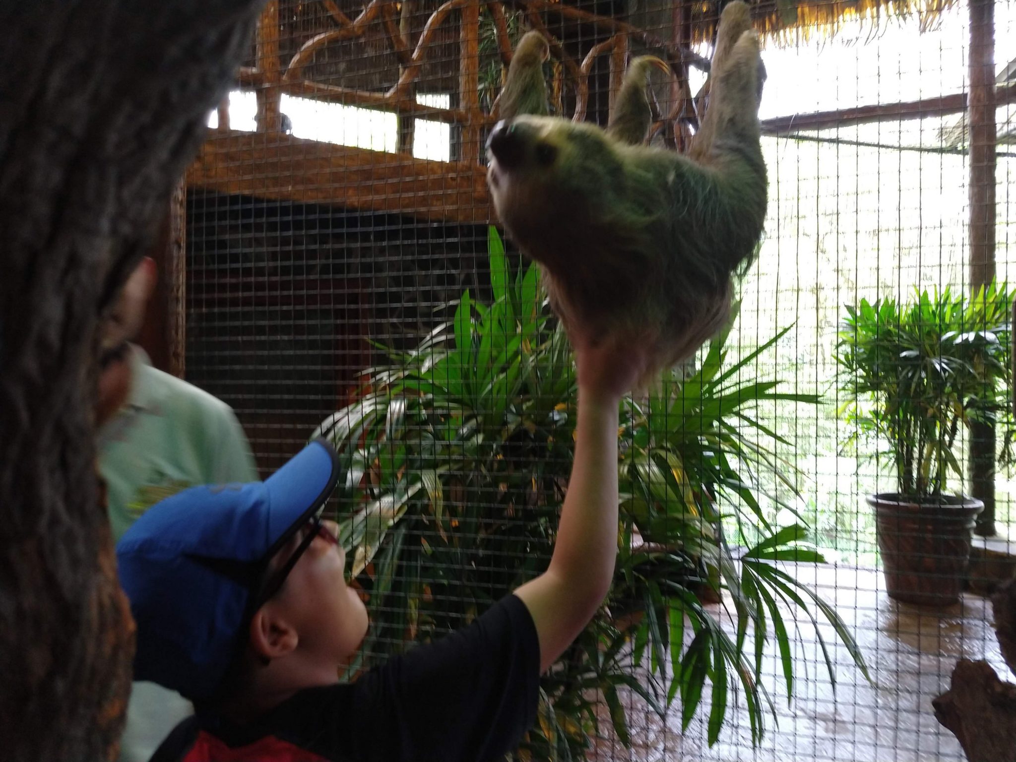 3 Wonderful Nights in Atenas, Costa Rica 19