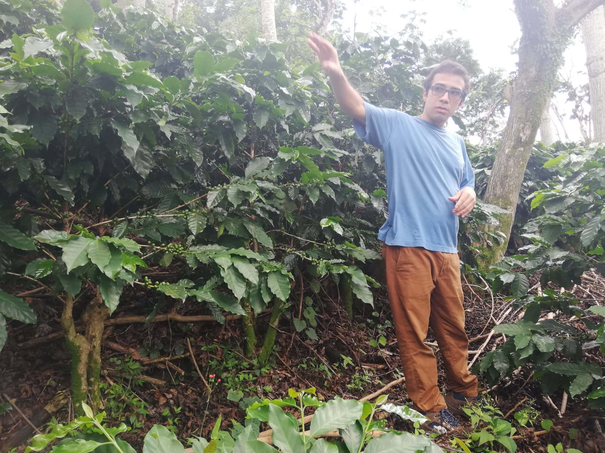 3 Wonderful Nights in Atenas, Costa Rica 36