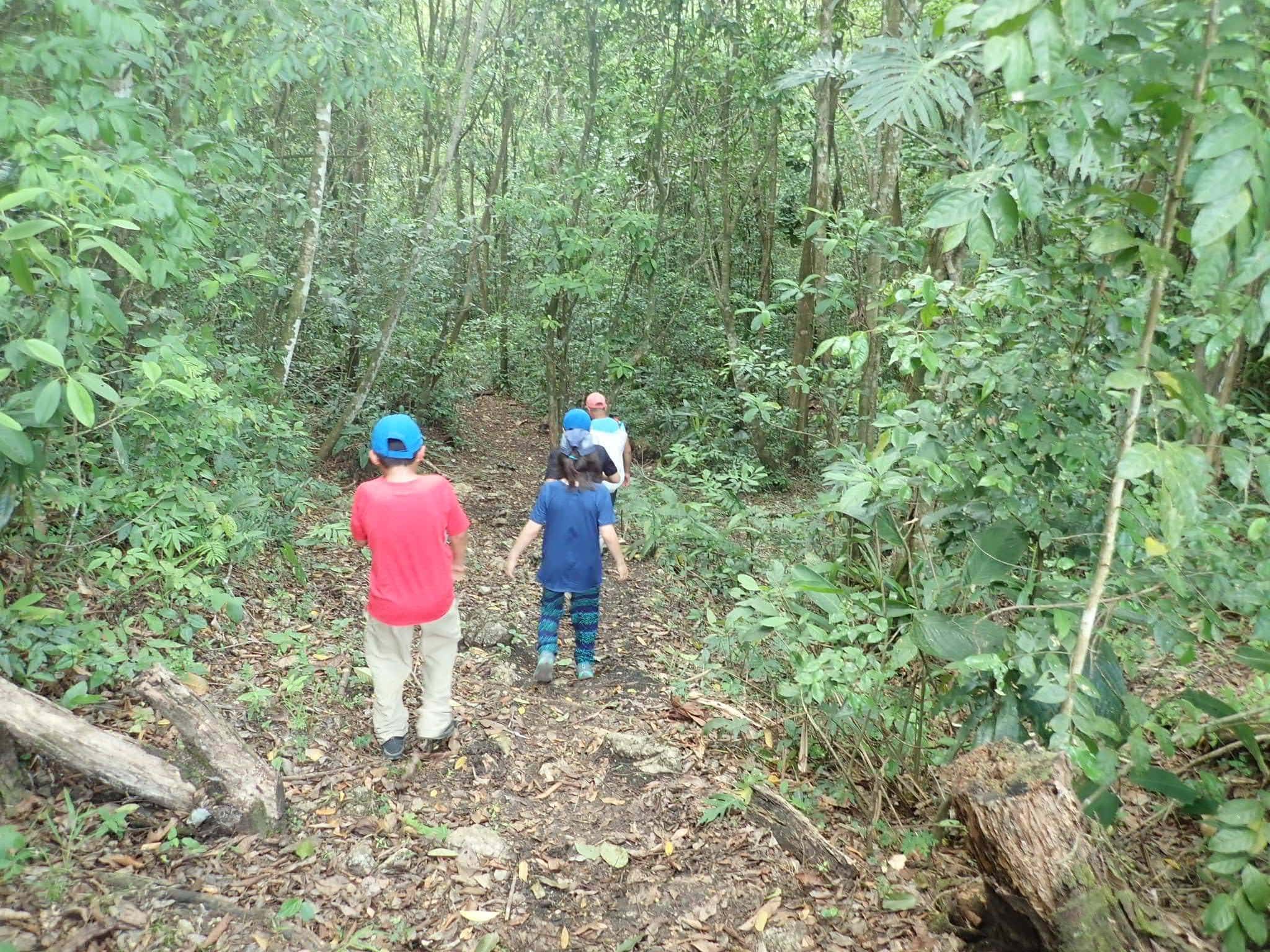Finca Ixobel: A Paradise in Poptun, Guatemala 14