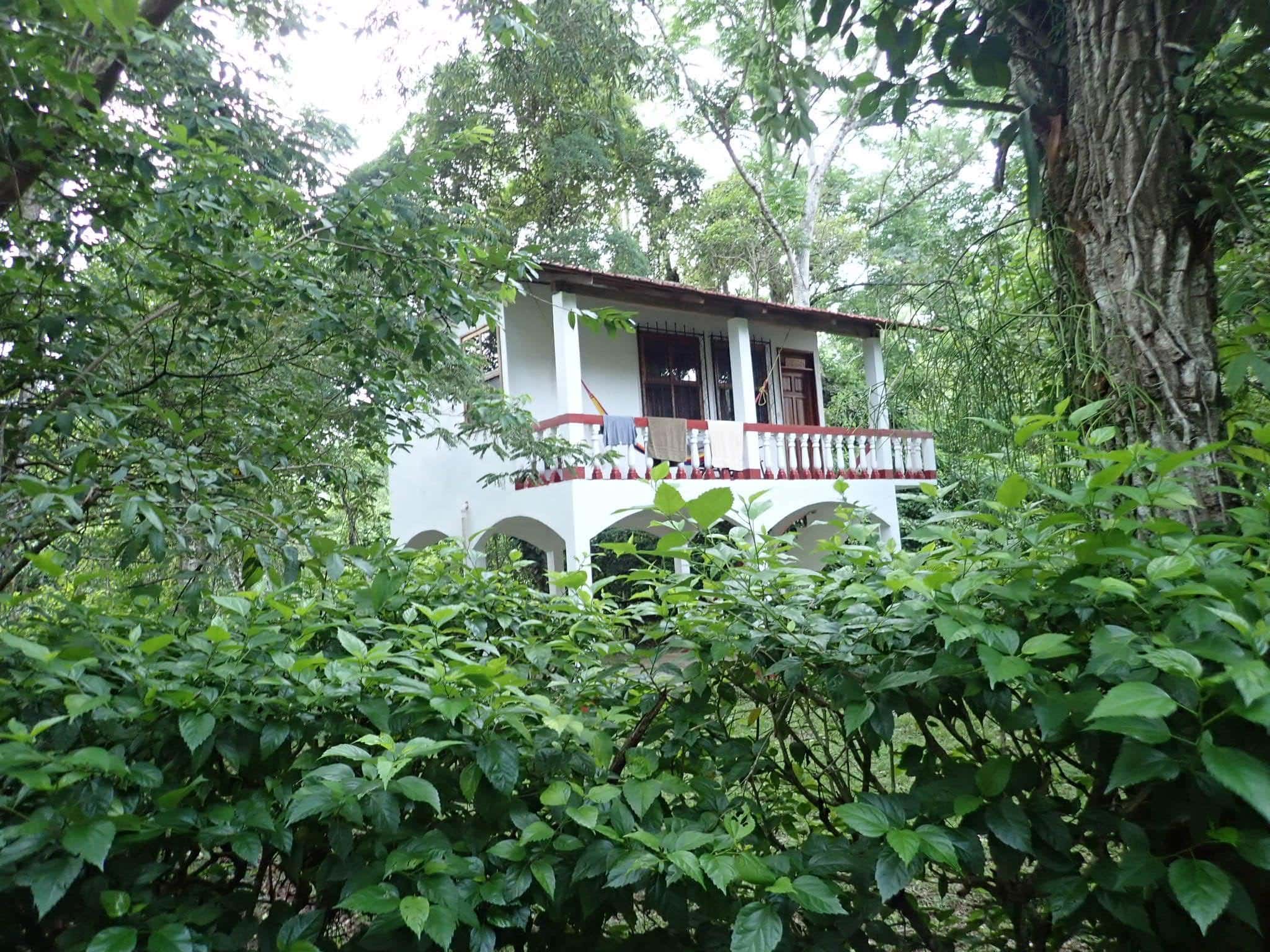 Finca Ixobel: A Paradise in Poptun, Guatemala 7