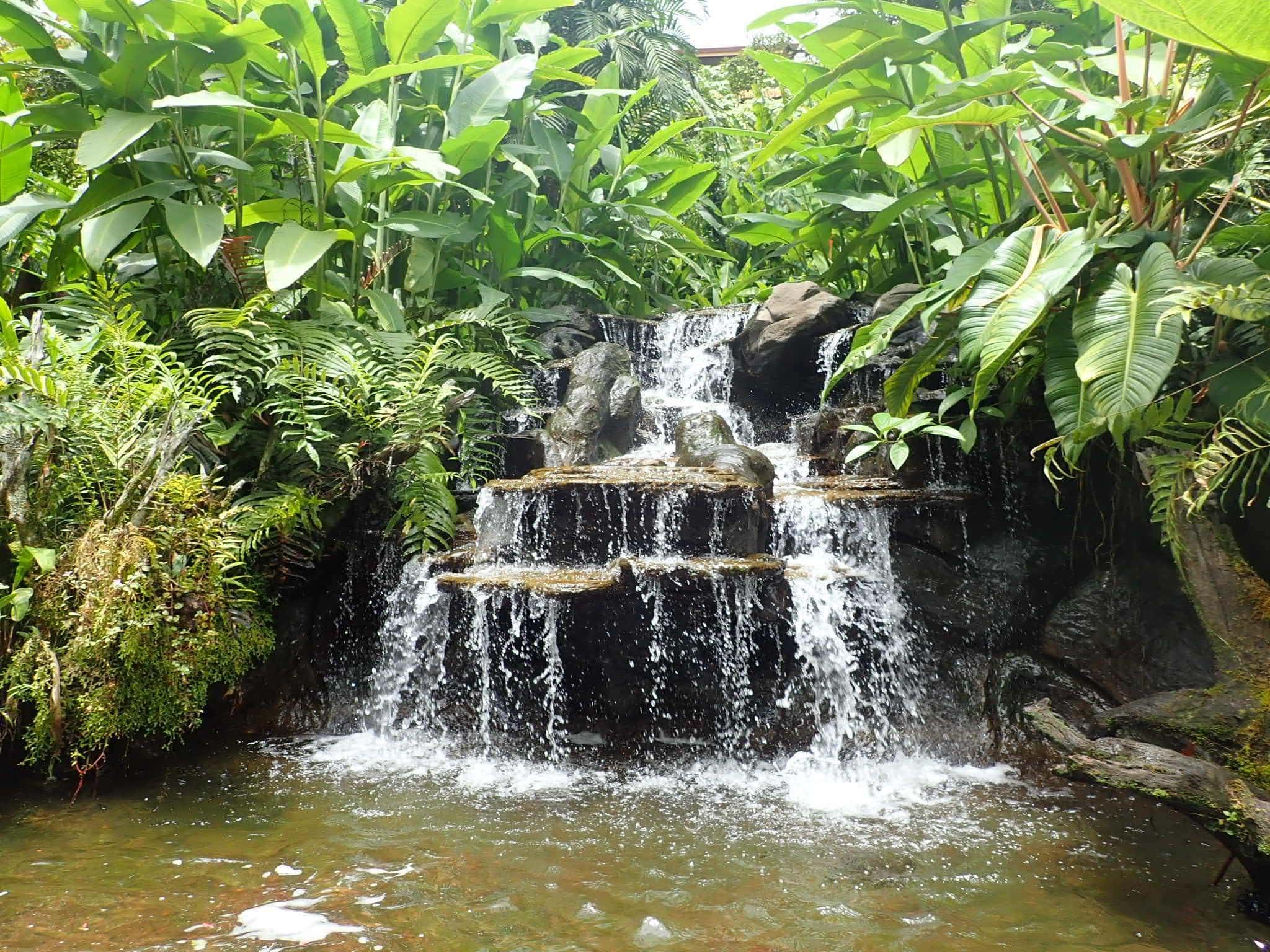 3 Wonderful Nights in Atenas, Costa Rica 1
