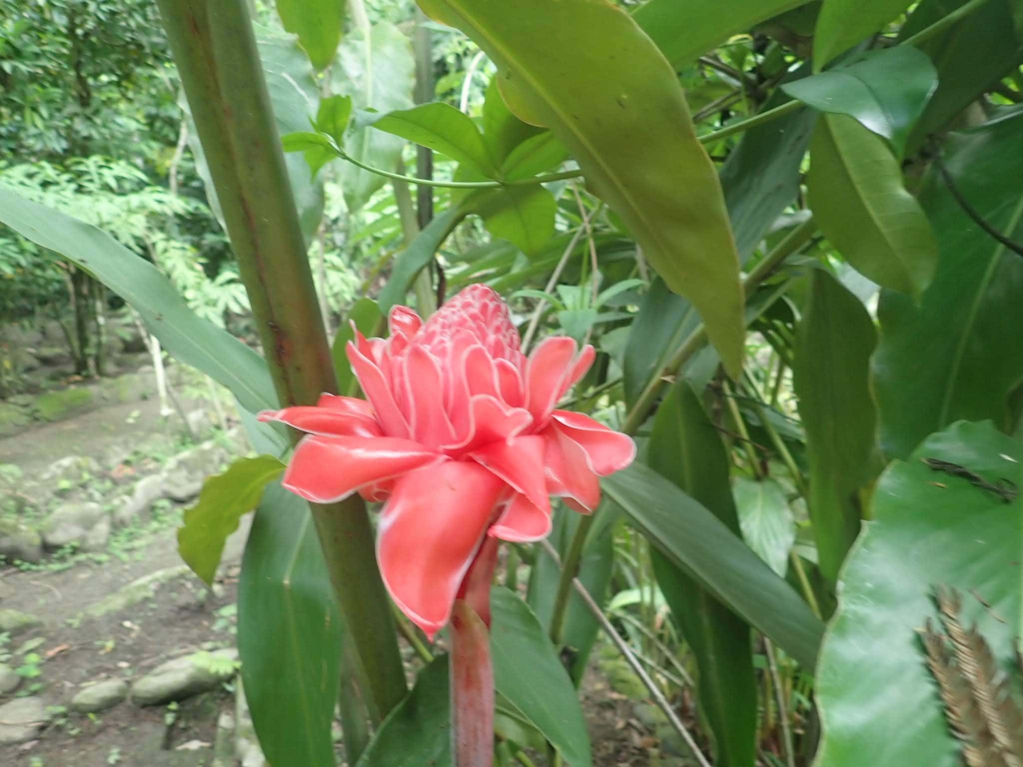 Our Marvelous stay in Bonda, Colombia 23