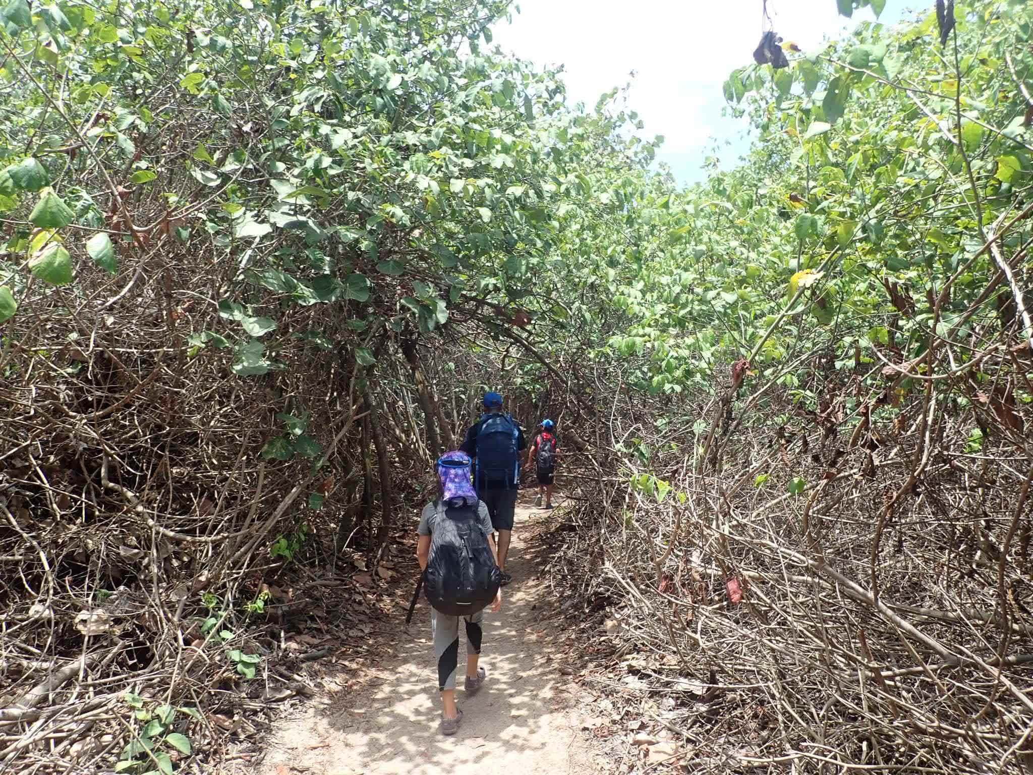Our One Night stop in Tayrona National Park 5