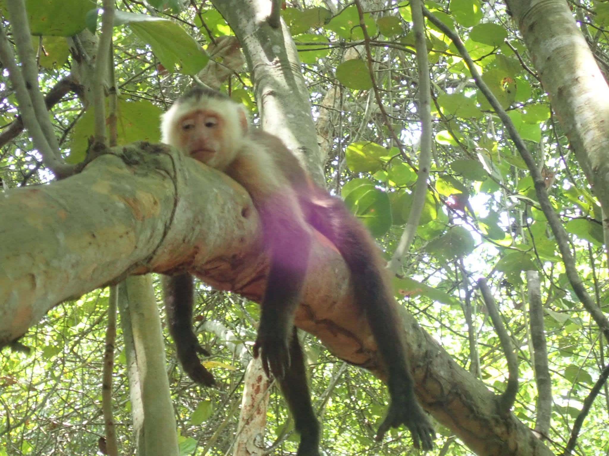 Our One Night stop in Tayrona National Park 8