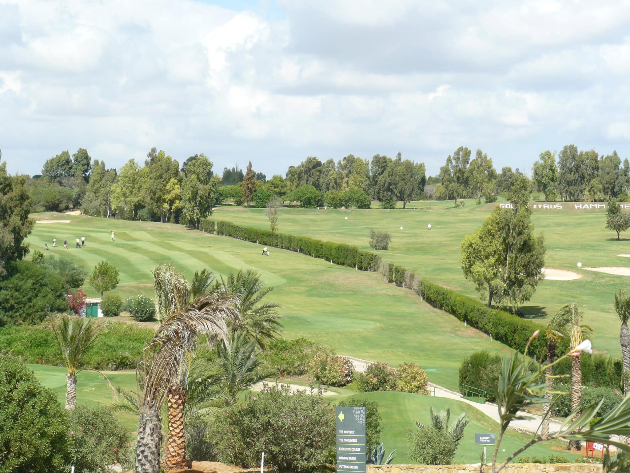 Magnifique vue de Golf Citrus
