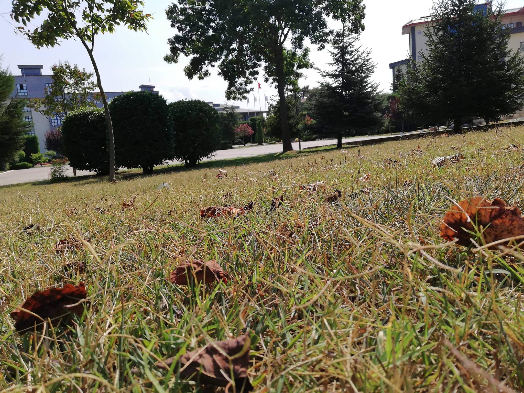 40183482_1798056450315868_6474667772860170240_o