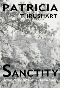 Read more about the article A Review of Sanctity: Poems from Northern Appalachia