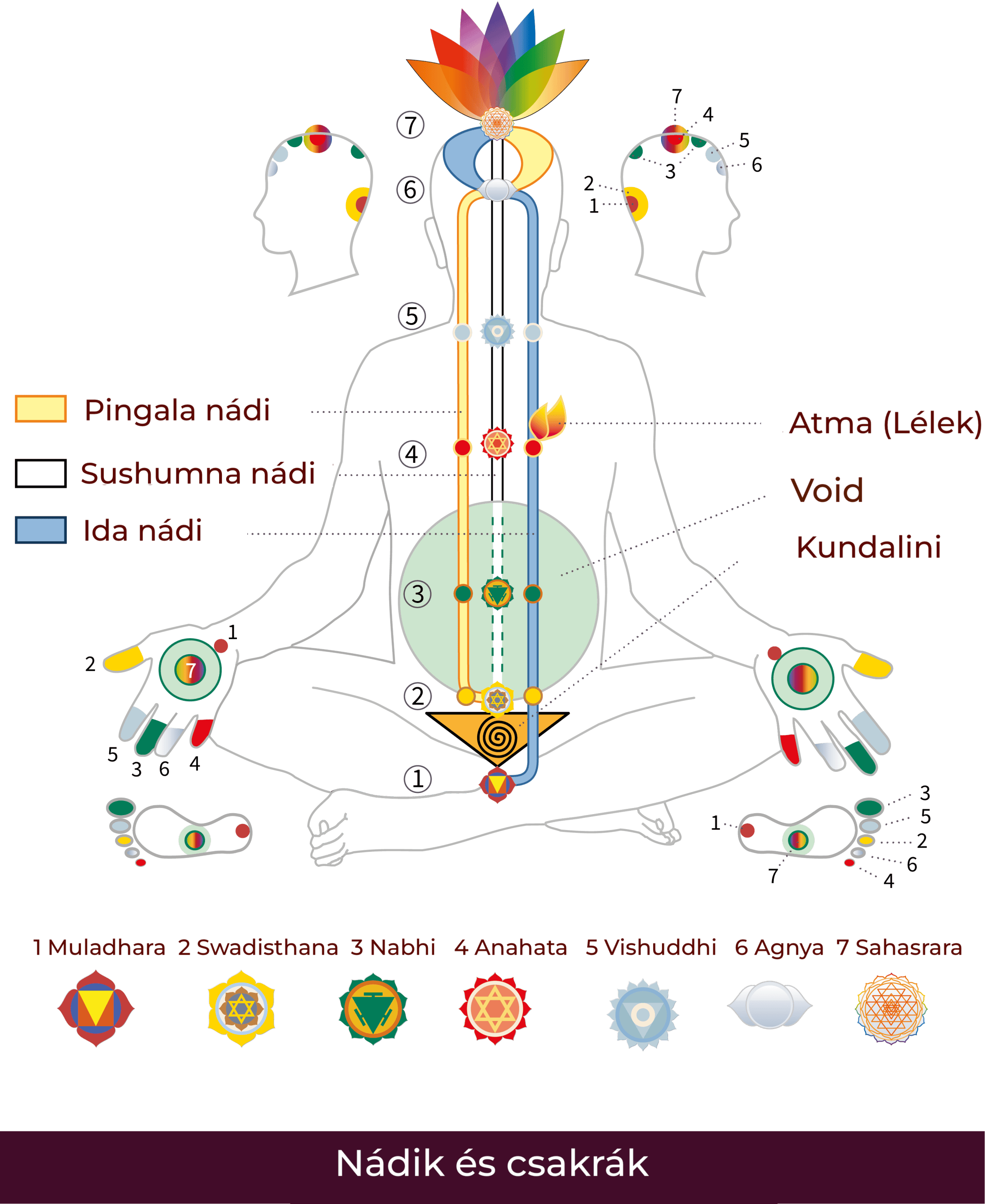 hu-Nadis_Chakras-01