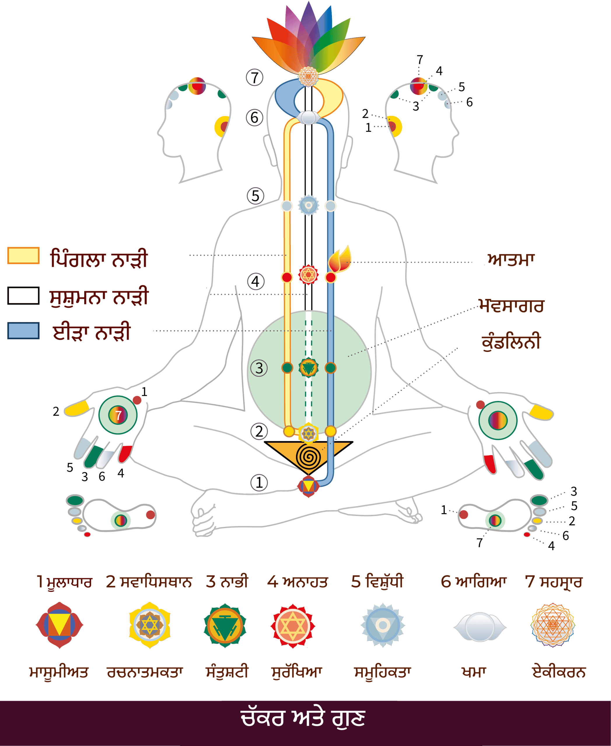 pa-Chakras_Qualities_SMO-01