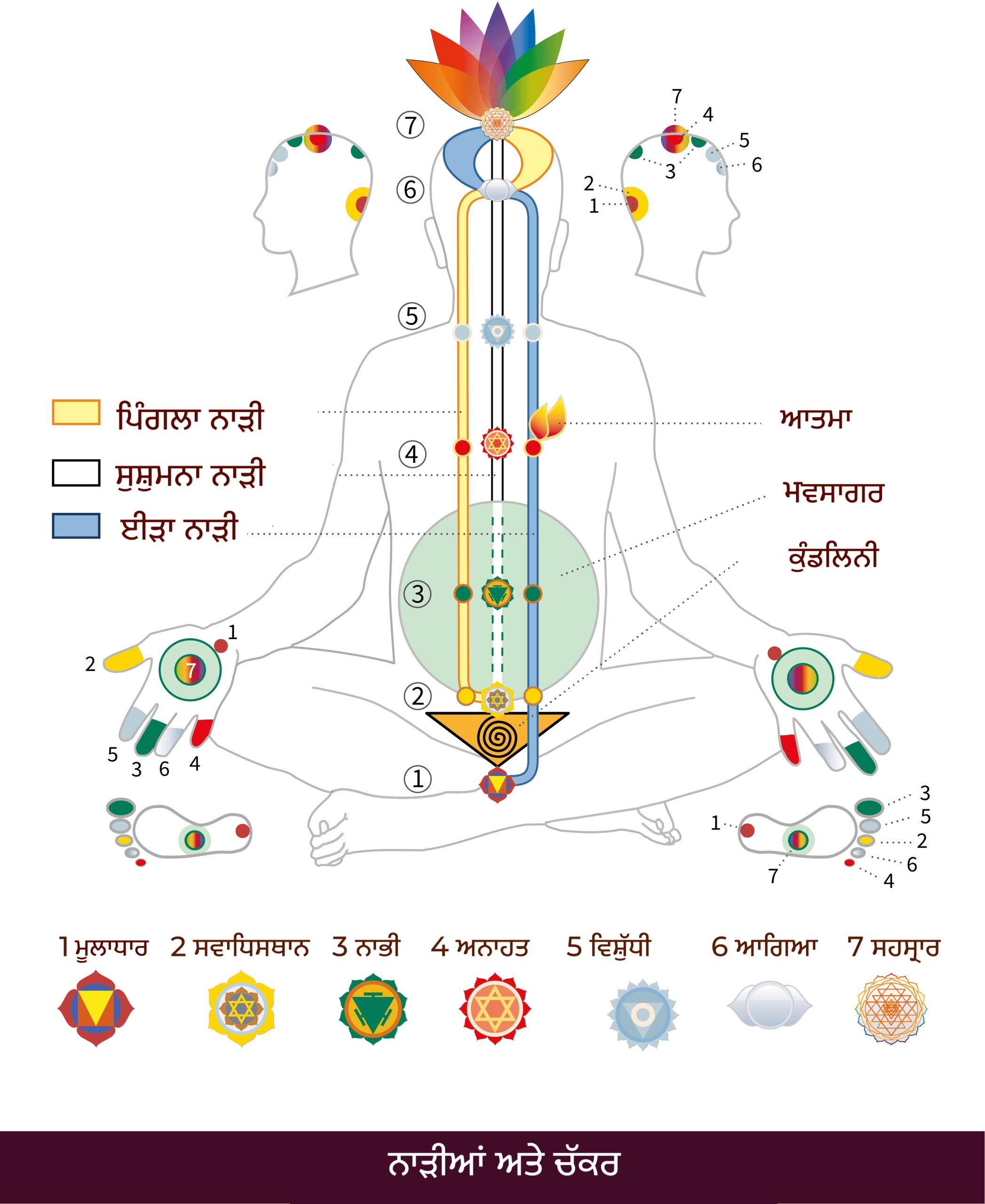 pa-Nadis_Chakras-01